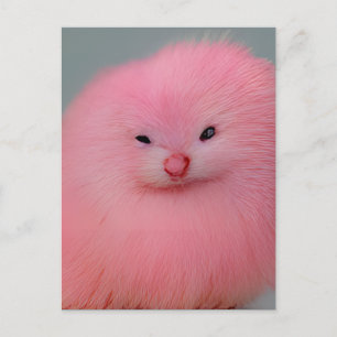 Furry roze ritter briefkaart