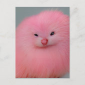 Furry roze ritter briefkaart (Voorkant)