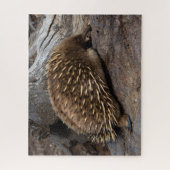 Furry Spiky Echidna Animal Wildlife, 520 stuks Legpuzzel (Verticaal)