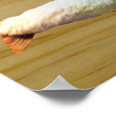 Furry Trout Poster (Hoek)