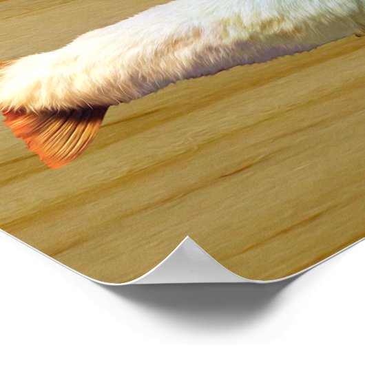 Furry Trout Poster (Hoek)