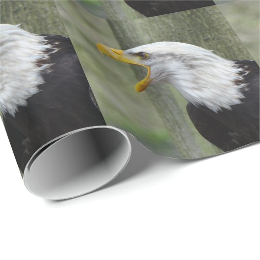 Fury Bald Eagle Cadeaupapier (Rol Hoek)