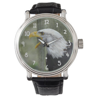 Fury Bald Eagle Horloge