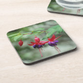 Fuschia1A.jpg Drankjes Onderzetter (Linkerzijde)