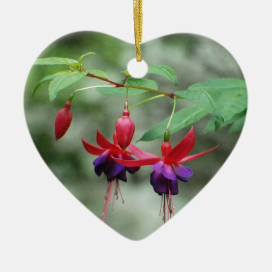 Fuschia1A.jpg Keramisch Ornament (Voorkant)