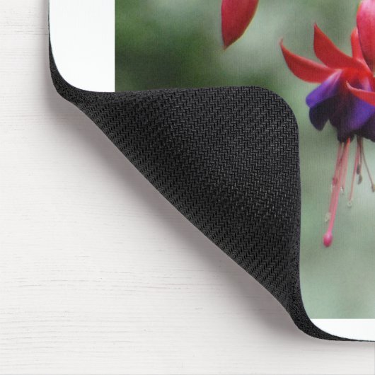 Fuschia1A.jpg Muismat (Hoek)