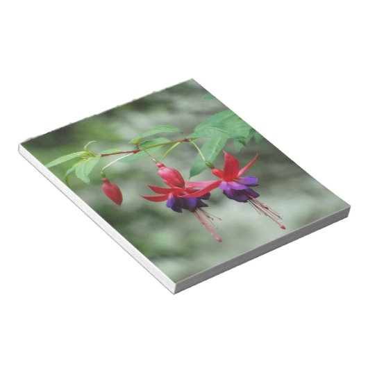 Fuschia1A.jpg Notitieblok (Schuin)