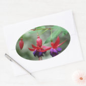 Fuschia1A.jpg Ovale Sticker (Envelop)