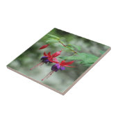 Fuschia1A.jpg Tegeltje (Zijkant)