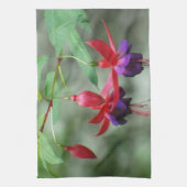 Fuschia1A.jpg Theedoek (Verticaal)
