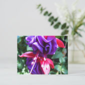 Fuschia 1 briefkaart (Staand voorkant)