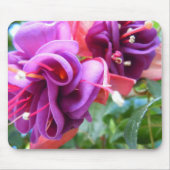 Fuschia Dio Muismat (Voorkant)