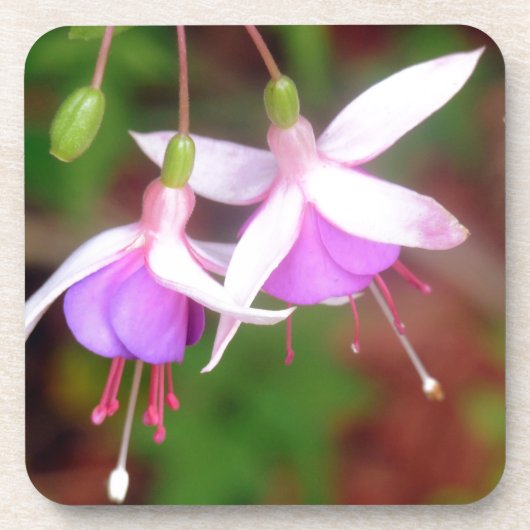 Fuschia Flowers Bier Onderzetter (Voorkant)