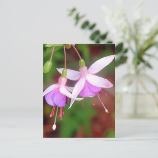 Fuschia Flowers Briefkaart (Staand voorkant)