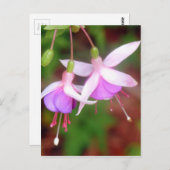 Fuschia Flowers Briefkaart (Voorkant / Achterkant)