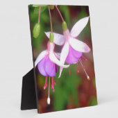 Fuschia Flowers Fotoplaat (Zijkant)