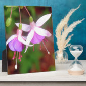 Fuschia Flowers Fotoplaat (Zijkant)