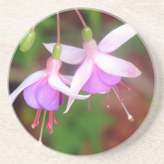 Fuschia Flowers Zandsteen Onderzetter (Voorkant)