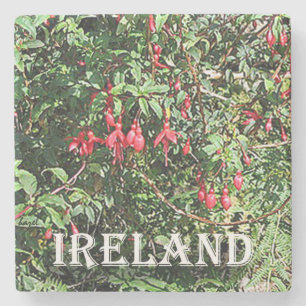 Fuschia, Ierland, Marble Onderzetter. Stenen Onderzetter