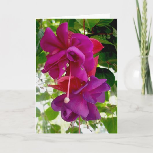 Fuschia Note-Kaart Feestdagen Kaart (Voorkant)