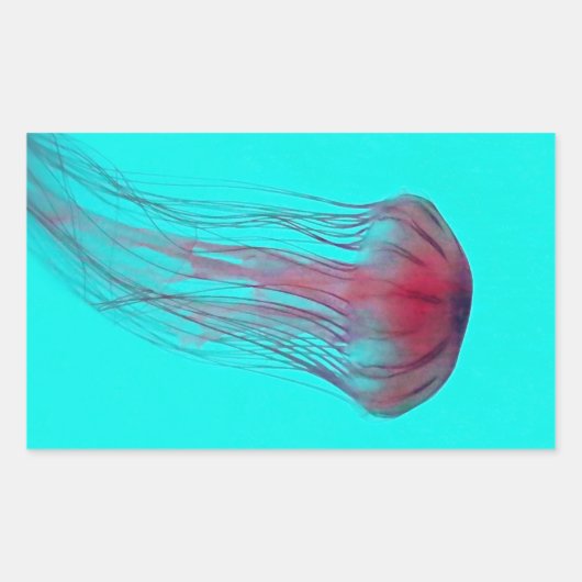 Fuschia Pink Jellyfish on Aqua Blue Green Rechthoekige Sticker (Voorkant)