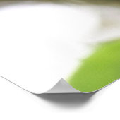 Fuschia Poster (Hoek)