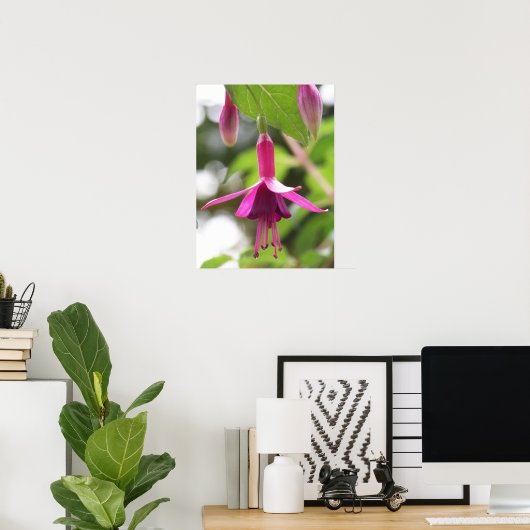 Fuschia Poster (Thuiskantoor)