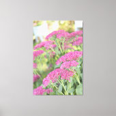Fuschia Roze Bloemen Canvas (Voorkant)