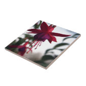 Fuschia Tegeltje (Zijkant)