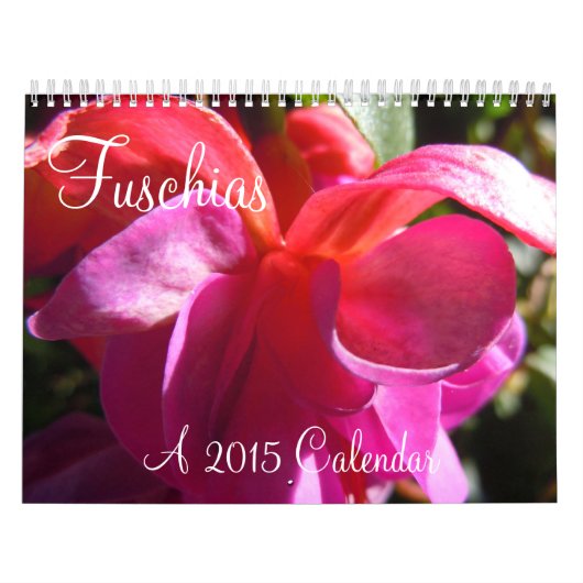 Fuschias 2015 II Kalender (Hoes)