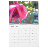 Fuschias 2015 II Kalender (Mar 2027)