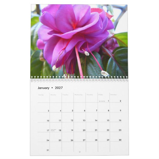 Fuschias Kalender (Jan 2027)