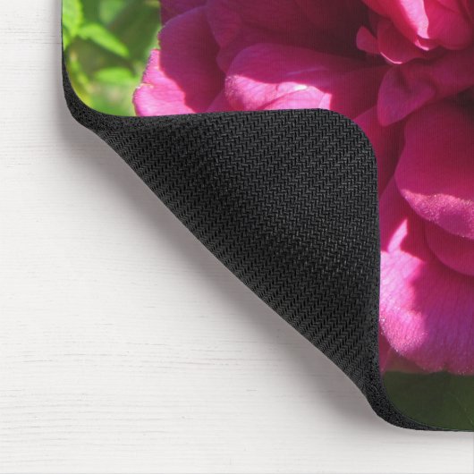 Fuscia Rugosa Roos, Multiple Petals Muismat (Hoek)