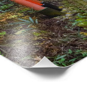 Fushi-Inari verlaagd Foto Afdruk (Hoek)