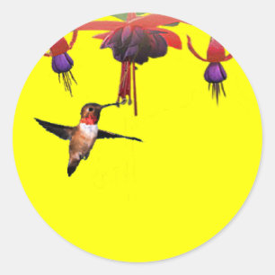 Fushia en kolibrie ronde sticker