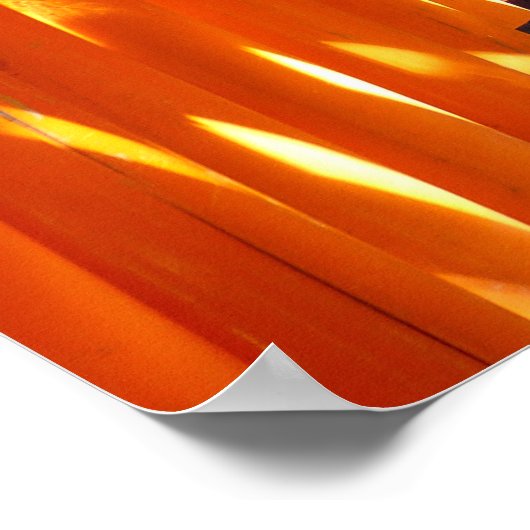 Fushimi Inari Kyoto-Poster Poster (Hoek)