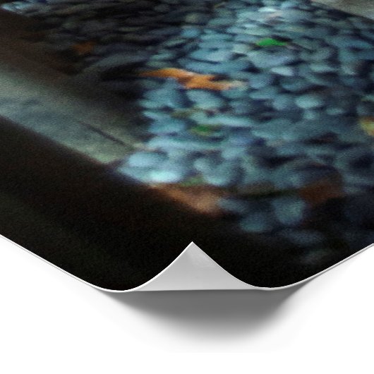 Fushimi Inari Shrine Torii Gates Poster (Hoek)