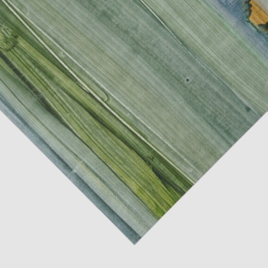 Fusie II Tissuepapier (Detail)