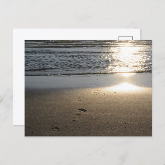 Fußspuren am Sandstrand Briefkaart (Voorkant / Achterkant)