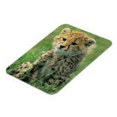 Fuzzige jachtluipaardwelp magneet (Linkerzijde)