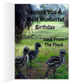 Fuzzy Baby Emu Chicken, Birthday Kaart (Binnen (Rechts))
