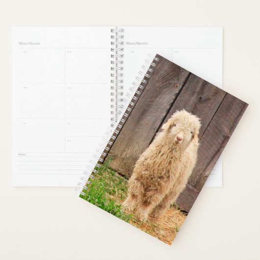 fuzzy Baby geit Planner (Display)