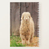 fuzzy Baby geit Planner (Achterkant)