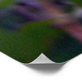 Fuzzy Bee Poster (Hoek)