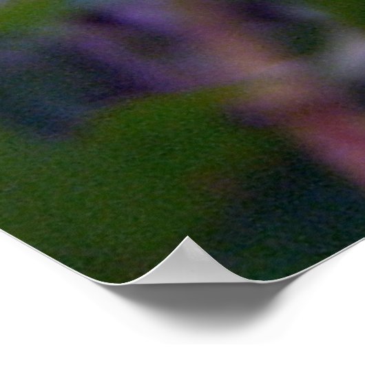 Fuzzy Bee Poster (Hoek)