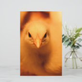 Fuzzy Briefpapier (Staand voorkant)
