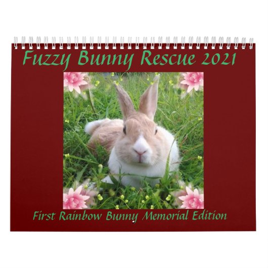 Fuzzy Bunny Rescue 2021 Kalender (Hoes)