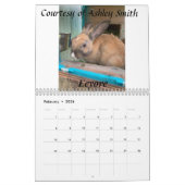 Fuzzy Bunny Rescue 2021 Kalender (Feb 2026)