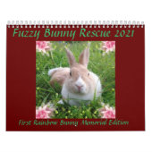 Fuzzy Bunny Rescue 2021 Kalender (Hoes)