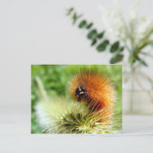 Fuzzy Caterpijler Briefkaart (Staand voorkant)